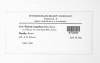 Elsinoe ampelina image